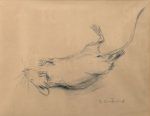 Dead Mouse (courtesy of NBM Collection)